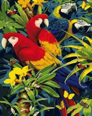 Macaw African Parrots paint by numbers