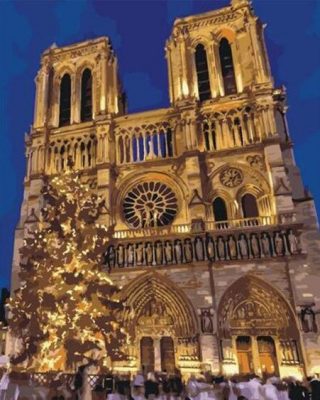 Notre Dame De Paris paint by numbers