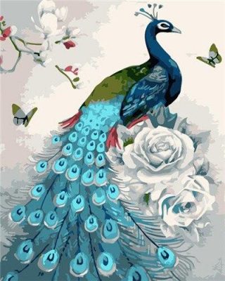 Peacock Birds Paint By Numbers