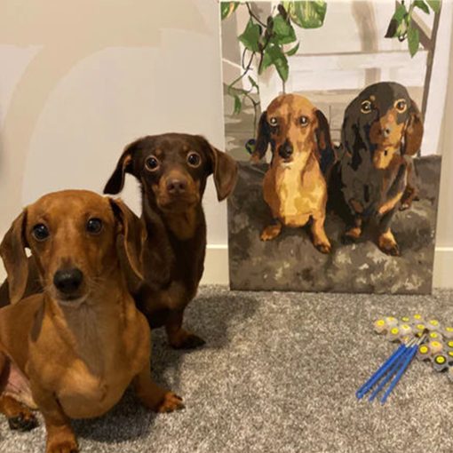 Personalized Painting By Numbers Pets