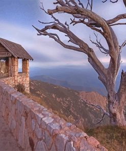 Mount Buffalo Paint By Numbers