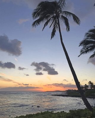 Palm Trees Paint By Numbers