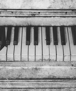 Monochrome Piano Paint By Numbers