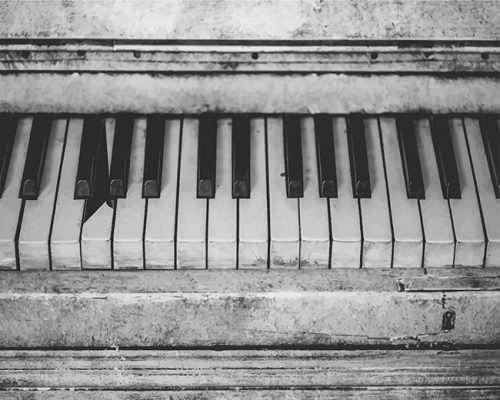 Monochrome Piano Paint By Numbers