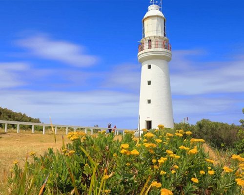 Cape Otway Paint By Numbers