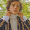 Timothee Chalamet Paint By Numbers