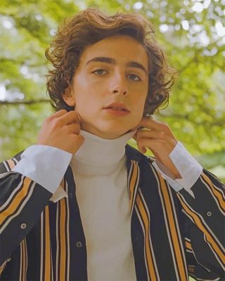 Timothee Chalamet Paint By Numbers