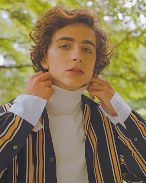 Timothee Chalamet Paint By Numbers