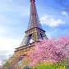 Eiffel In Spring Paint By Numbers
