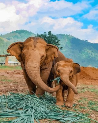 Elephants Paint By Numbers