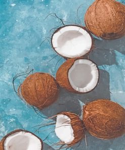 Fresh Coconut Paint By Numbers