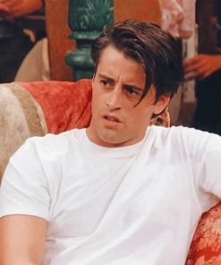Joey Tribbiani Paint By Numbers