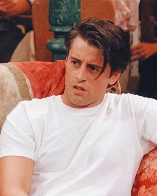 Joey Tribbiani Paint By Numbers