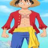 Luffy Paint By Numbers