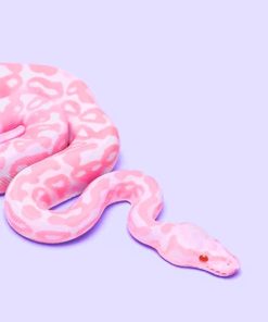 Pink Snake Paint By Numbers
