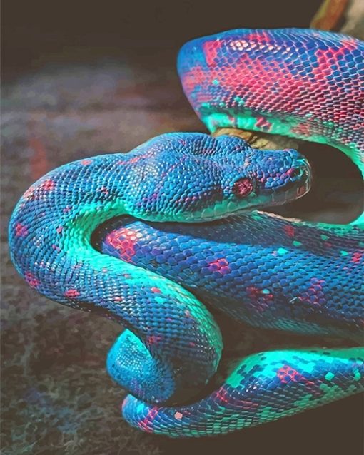 Shimmering Snake Paint By Numbers