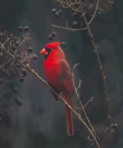 Cardinal Bird Paint By Numbers