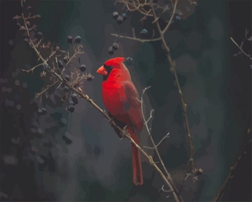 Cardinal Bird Paint By Numbers