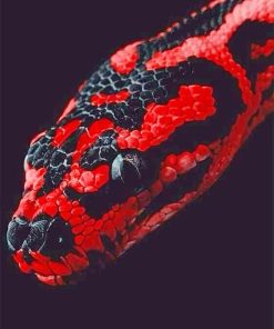 Red Python Paint By Numbers