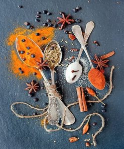 Spices Creative Paint By Numbers