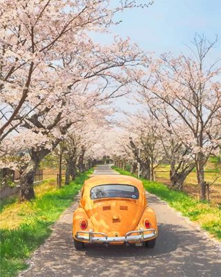 Yellow VW Paint By Numbers