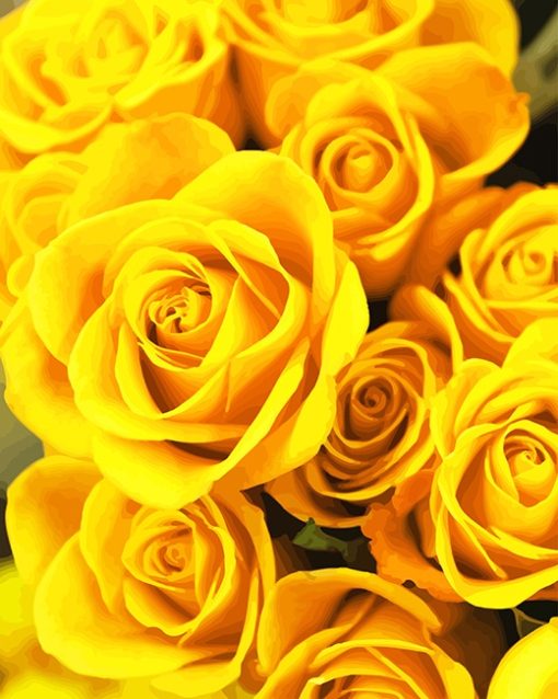 Yellow Roses Paint By Numbers