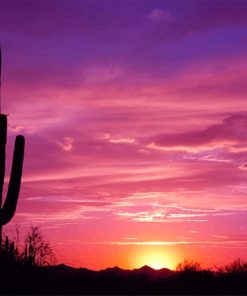 Cactus Sunset Paint By Numbers