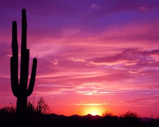 Cactus Sunset Paint By Numbers