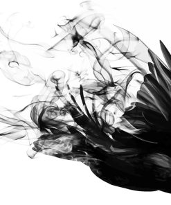 Bird Smoke Paint By Numbers