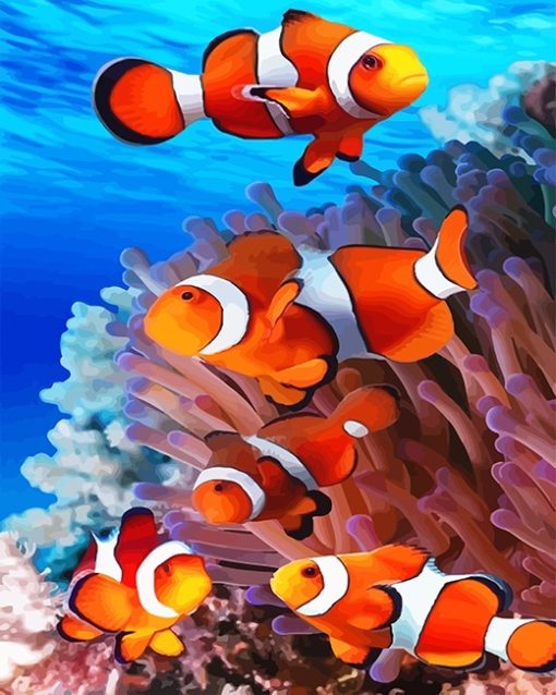 Clown Fish Paint By Numbers