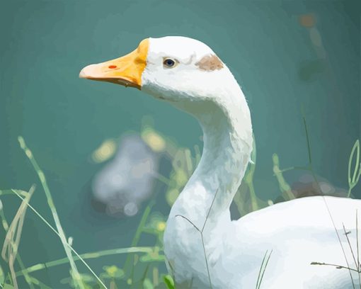 White Duck Paint By Numbers