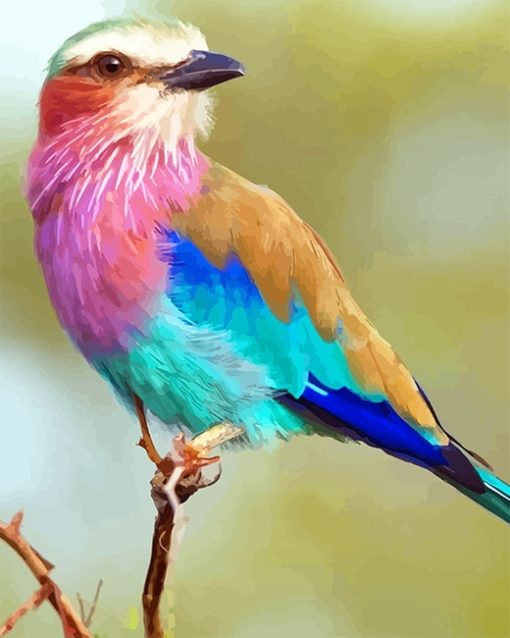 Breasted Roller Paint By Numbers