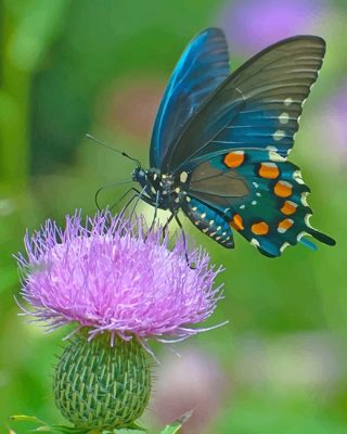 Monarch Butterfly Paint By Numbers