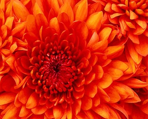 Orange Flower Paint By Numbers