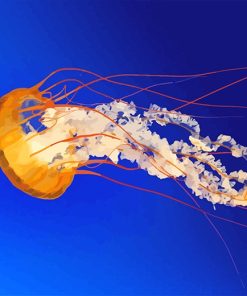 Orange Jellyfish Paint By Numbers