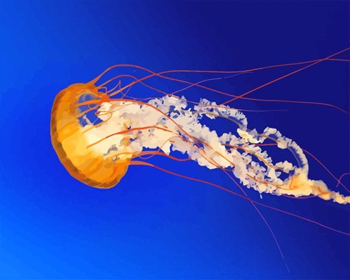 Orange Jellyfish Paint By Numbers