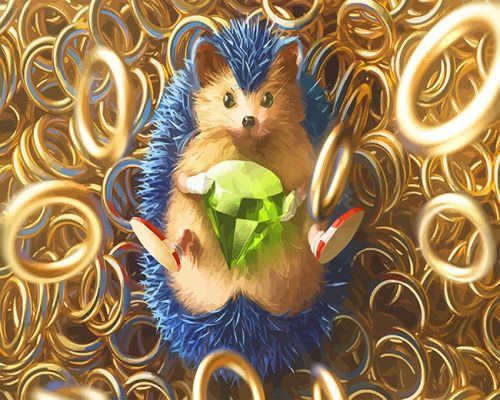 The Hedgehog Paint By Numbers