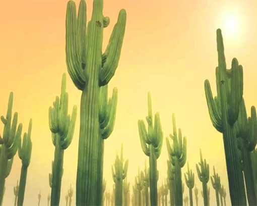 Sunny Cactus Paint By Numbers