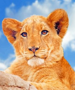 Lioness Paint By Numbers