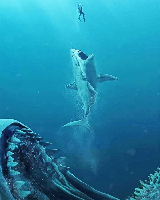 Shark Underwater Paint By Numbers