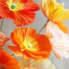 Orange Poppies Paint By Numbers