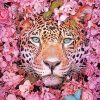 Tiger Flowers Paint By Numbers