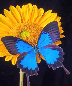 Butterfly And Sunflower Paint By Numbers