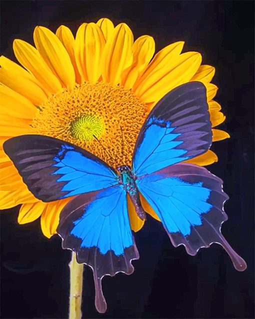 Butterfly And Sunflower Paint By Numbers