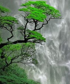 Trees Waterfall Paint By Numbers