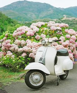 White Vespa Paint By Numbers