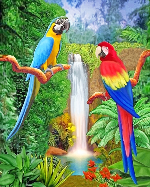 Colorful Parrots Paint By Numbers