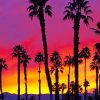 California Palms Paint By Numbers