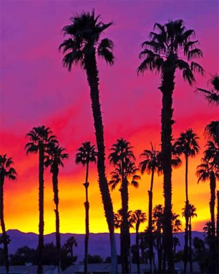 California Palms Paint By Numbers