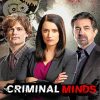 Criminal Minds Paint By Numbers